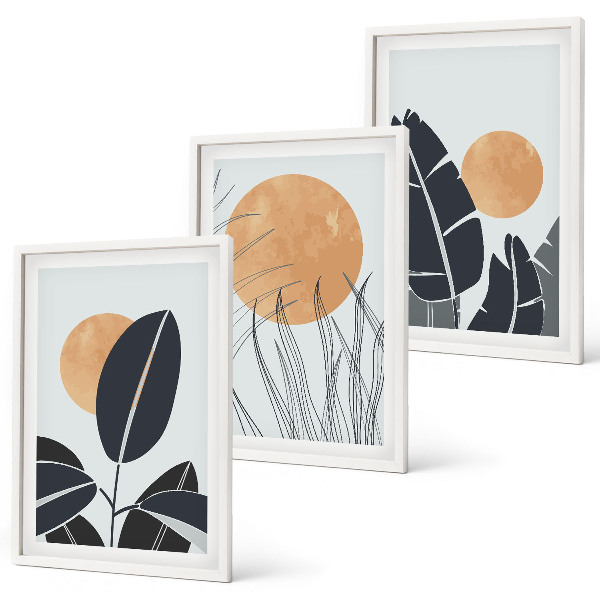 Conjunto de 3 quadros com moldura Padrões de plantas, sóis grandes, minimalistas