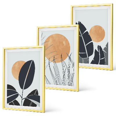Conjunto de 3 quadros com moldura Padrões de plantas, sóis grandes, minimalistas