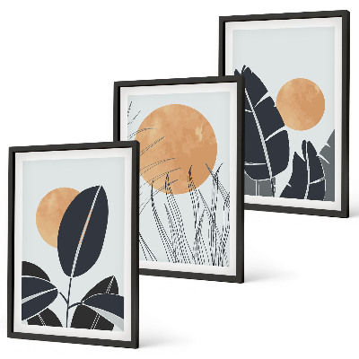 Conjunto de 3 quadros com moldura Padrões de plantas, sóis grandes, minimalistas