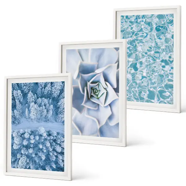 Conjunto de quadros para sala de estar com estampa de água azul e flor de floresta de inverno