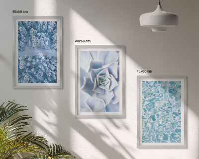 Conjunto de quadros para sala de estar água azul flor floresta de inverno