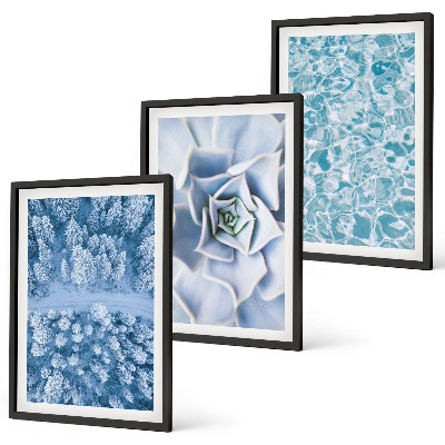 Conjunto de quadros para sala de estar água azul flor floresta de inverno