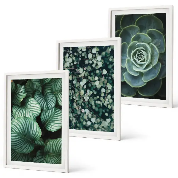 Conjunto de quadros para sala de estar com estampa de suculentas de folhas verdes