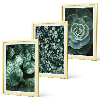 Conjunto de quadros para sala de estar com estampa de suculentas de folhas verdes
