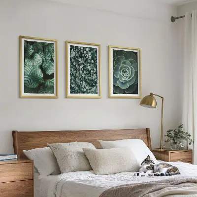 Conjunto de quadros para sala de estar com estampa de suculentas de folhas verdes