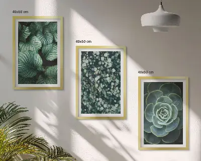 Conjunto de quadros para sala de estar com estampa de suculentas de folhas verdes