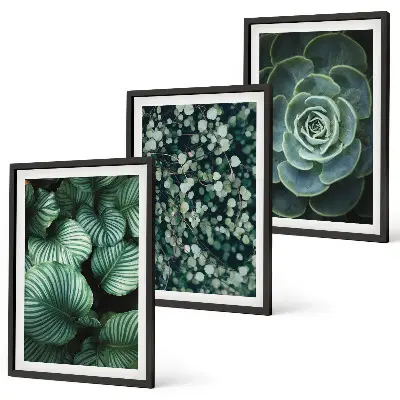 Conjunto de quadros para sala de estar com estampa de suculentas de folhas verdes