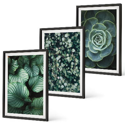Conjunto de quadros para sala de estar Estilo de suculentas com folhas verdes