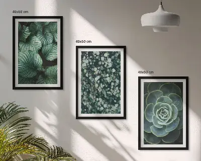 Conjunto de quadros para sala de estar com estampa de suculentas de folhas verdes