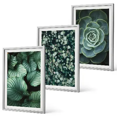 Conjunto de quadros para sala de estar com estampa de suculentas de folhas verdes