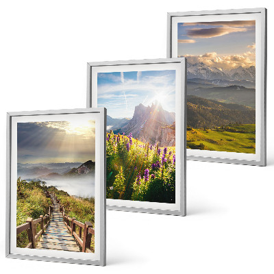 Conjunto de quadros para sala de estar Paisagem montanhosa com flores