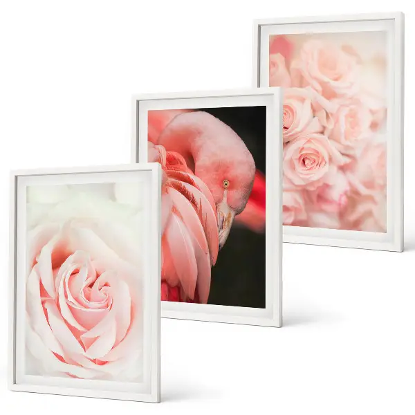 Conjunto de quadros para sala de estar com estampas de flamingos em rosa pastel