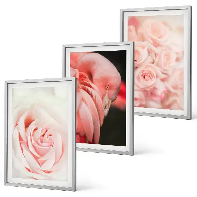 Conjunto de quadros para sala de estar com estampas de flamingos em rosa pastel
