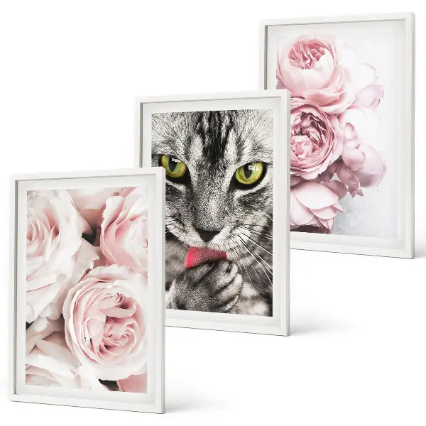 Conjunto de 3 quadros com moldura estampa de gato em flores cor-de-rosa