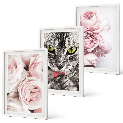 Conjunto de 3 quadros com moldura Gato em flores cor-de-rosa