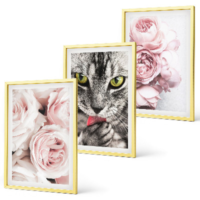 Conjunto de 3 quadros com moldura Gato em flores cor-de-rosa