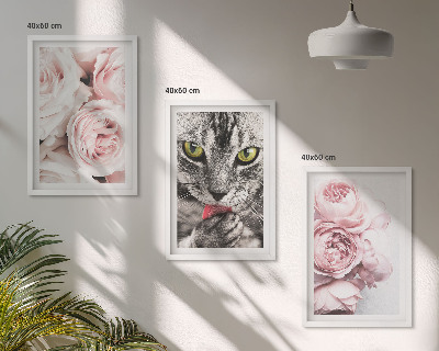 Conjunto de 3 quadros com moldura Gato em flores cor-de-rosa