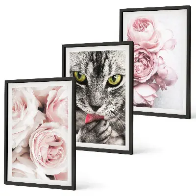 Conjunto de 3 quadros com moldura estampa de gato em flores cor-de-rosa