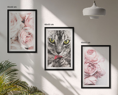 Conjunto de 3 quadros com moldura Gato em flores cor-de-rosa
