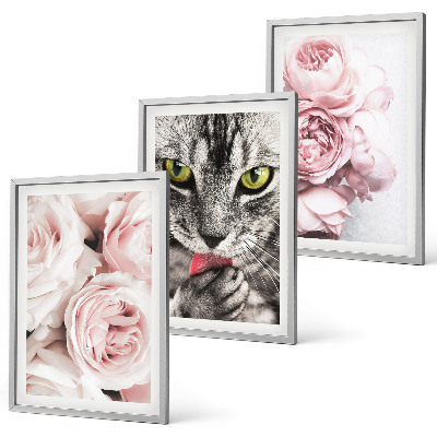 Conjunto de 3 quadros com moldura Gato em flores cor-de-rosa