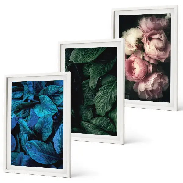 Composição de quadros moderna com folhas e flores em cores variadas