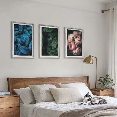Composição de quadros moderna Folhas, flores, cores diferentes