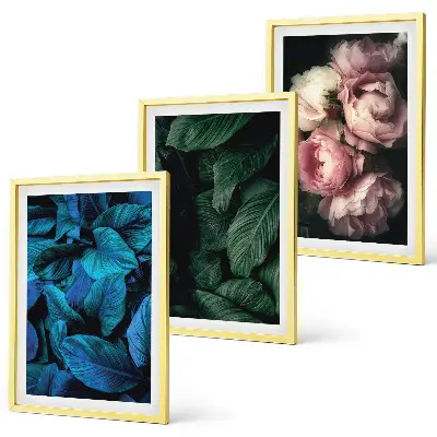 Composição de quadros moderna com folhas e flores em cores variadas