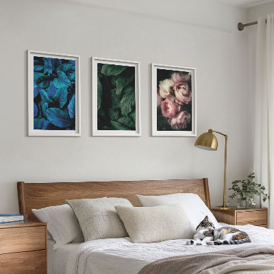 Composição de quadros moderna Folhas, flores, cores diferentes