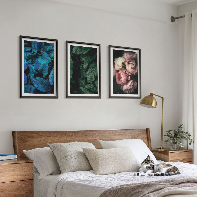 Composição de quadros moderna Folhas, flores, cores diferentes