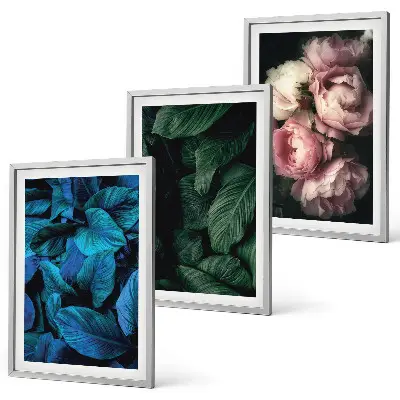 Composição de quadros moderna com folhas e flores em cores variadas
