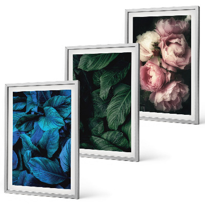 Composição de quadros moderna Folhas, flores, cores diferentes