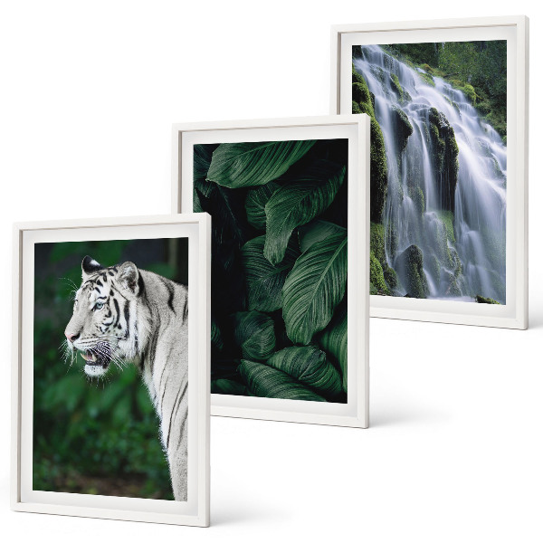 Conjunto de 3 quadros com moldura Cascata de folhas de tigre branco