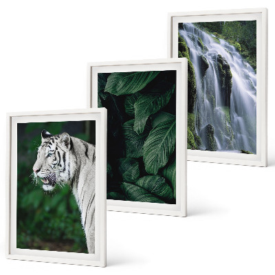 Conjunto de 3 quadros com moldura Cascata de folhas de tigre branco