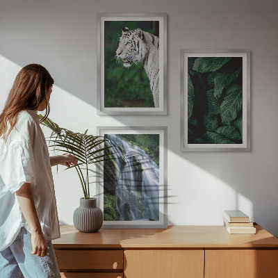 Conjunto de 3 quadros com moldura Cascata de folhas de tigre branco
