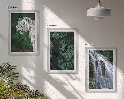 Conjunto de 3 quadros com moldura Cascata de folhas de tigre branco