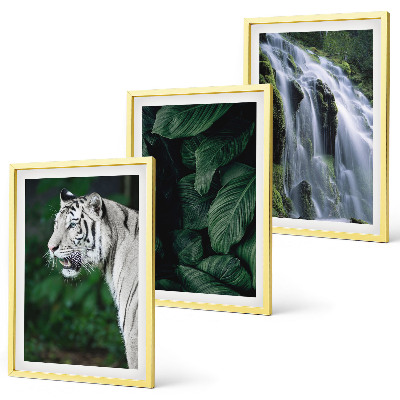 Conjunto de 3 quadros com moldura Cascata de folhas de tigre branco