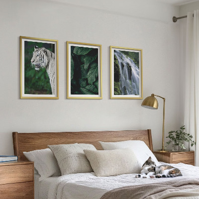 Conjunto de 3 quadros com moldura Cascata de folhas de tigre branco