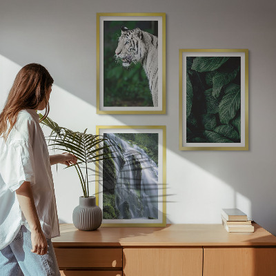 Conjunto de 3 quadros com moldura Cascata de folhas de tigre branco