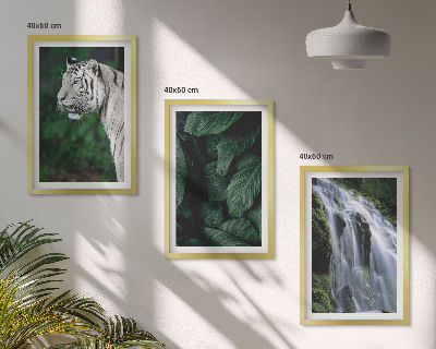 Conjunto de 3 quadros com moldura Cascata de folhas de tigre branco
