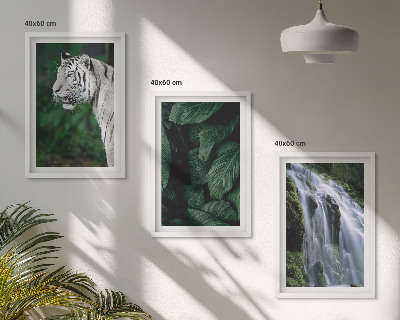 Conjunto de 3 quadros com moldura Cascata de folhas de tigre branco