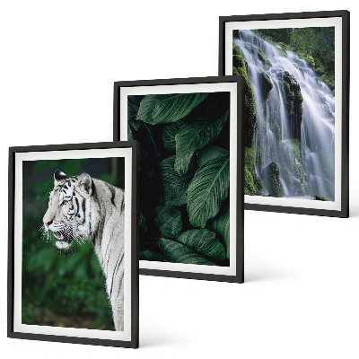 Conjunto de 3 quadros com moldura Cascata de folhas de tigre branco