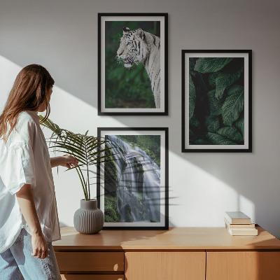 Conjunto de 3 quadros com moldura Cascata de folhas de tigre branco