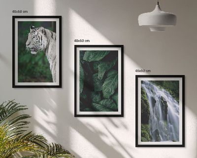 Conjunto de 3 quadros com moldura Cascata de folhas de tigre branco