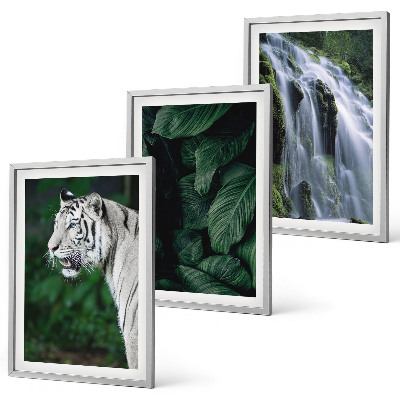 Conjunto de 3 quadros com moldura Cascata de folhas de tigre branco