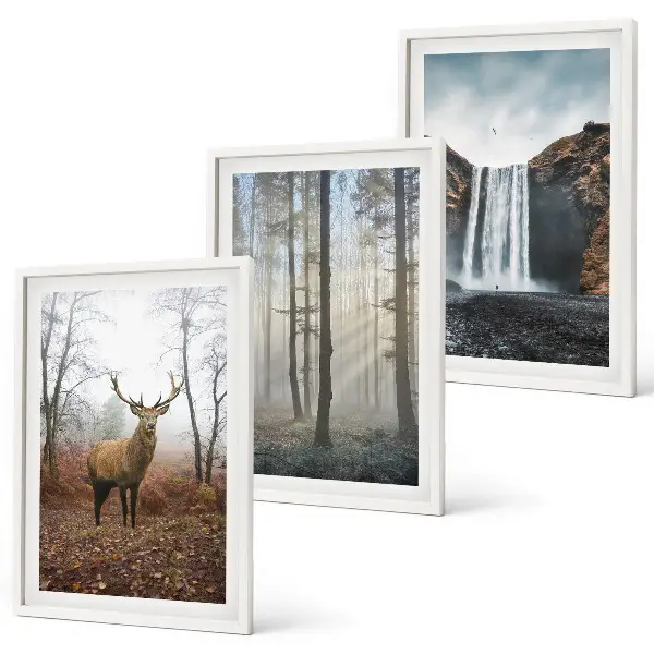 Conjunto de quadros para sala de estar com paisagens florestais e natureza selvagem