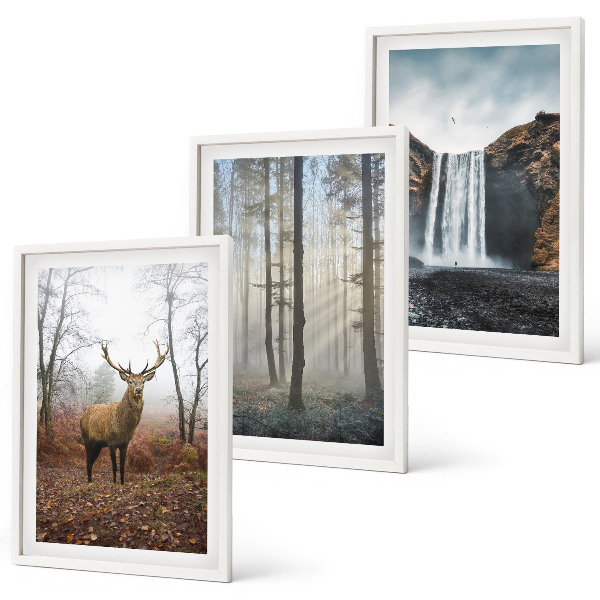 Conjunto de quadros para sala de estar Paisagens florestais, natureza selvagem