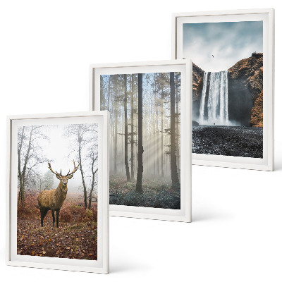 Conjunto de quadros para sala de estar Paisagens florestais, natureza selvagem