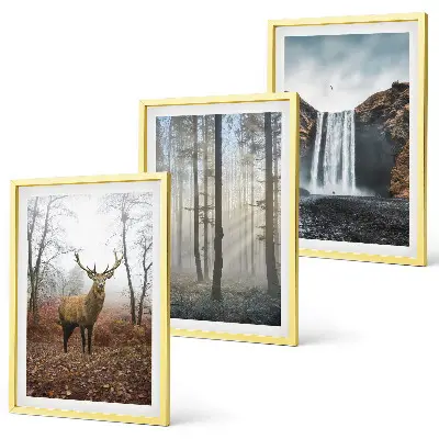Conjunto de quadros para sala de estar com paisagens florestais e natureza selvagem
