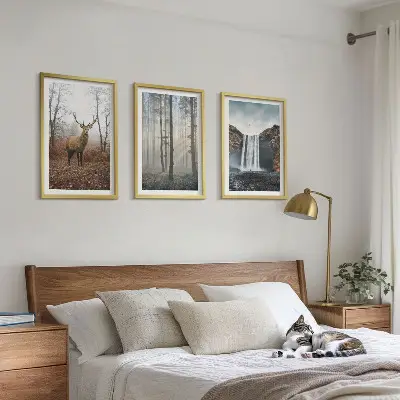 Conjunto de quadros para sala de estar com paisagens florestais e natureza selvagem