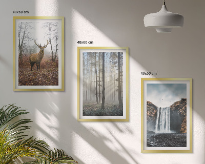 Conjunto de quadros para sala de estar Paisagens florestais, natureza selvagem